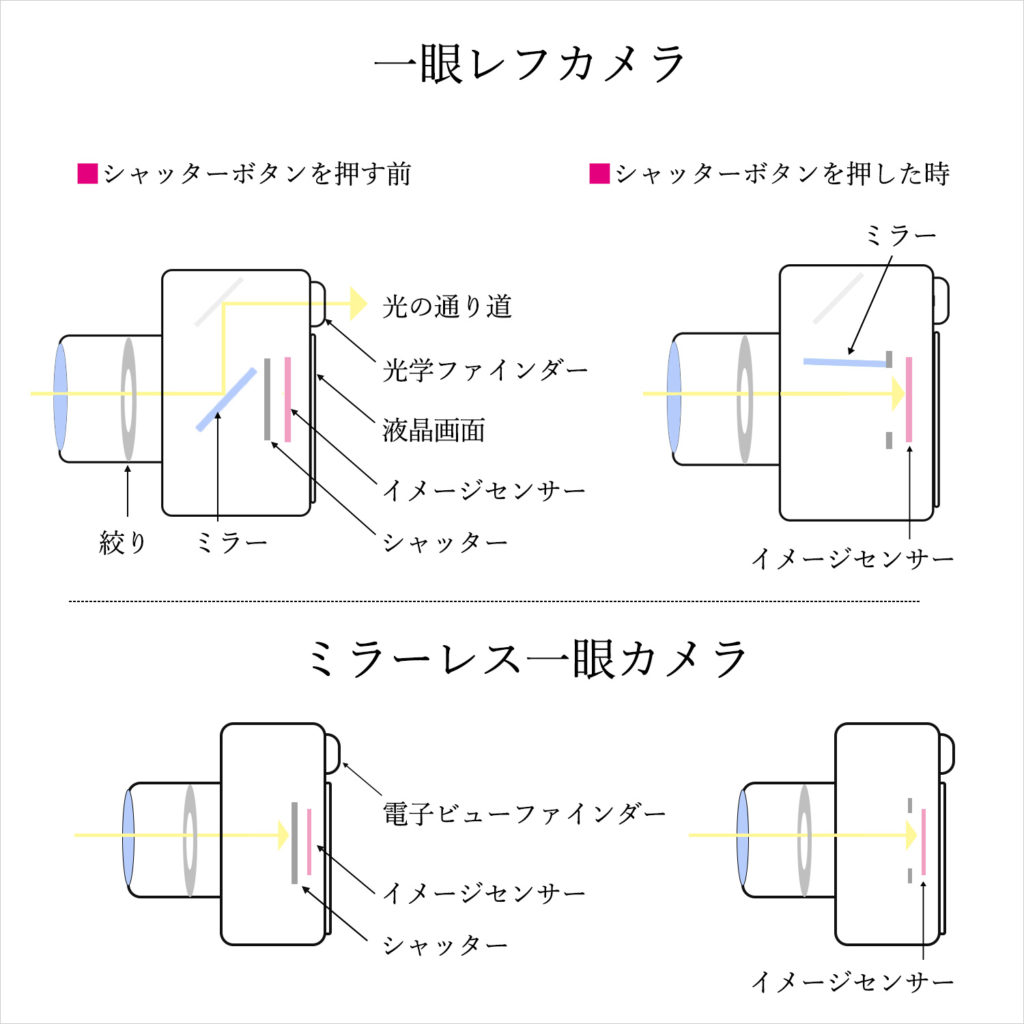 一眼レフとミラーレスの構造の違い