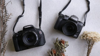 一眼レフとミラーレスの違いってなに？